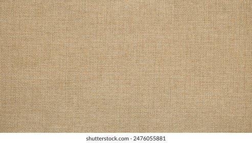 AV无码A在线观看