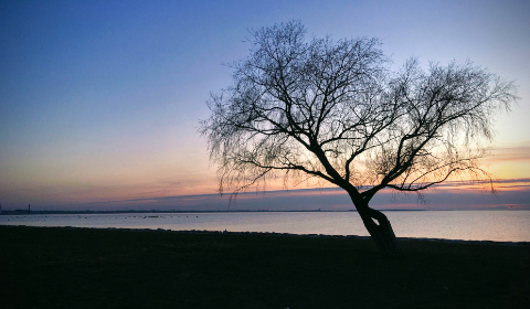 av丝袜一电影区一区一区