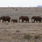 男欢男爱|页面加i紧急升级访问 5cl82clj