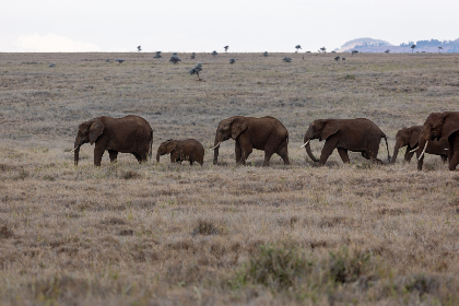 男欢男爱｜页面加i紧急升级访问