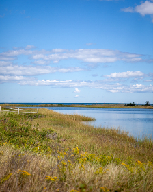 age动漫动画官网