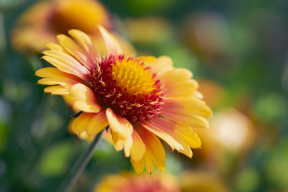 午夜福利第1000集第92集