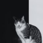 斗罗大陆电视剧免费观看 c3f17a1it0