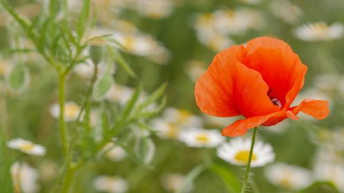 AV国产片处破国语在线观看