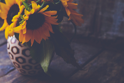 a国产欧美亚洲国产在线