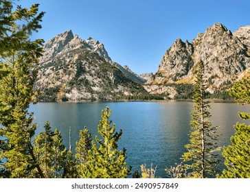 又黄又好看乡村小说