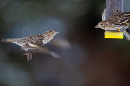 午夜福利不卡片在线播放免费