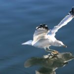 AV天堂中AV世界中文在线播放 x10p35k6a