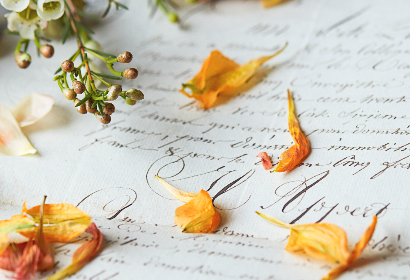 免费动漫在线免费观看：畅享海量动漫资源，随时随地观看乐趣无穷