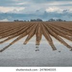 不安人在线播放:探索心理深渊的惊悚之旅与心灵解读 6a22mznc7