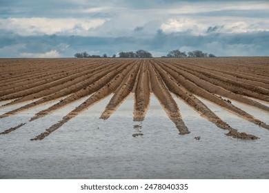 不安人在线播放：探索心理深渊的惊悚之旅与心灵解读